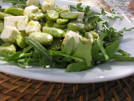Salat-Favas Bohnen